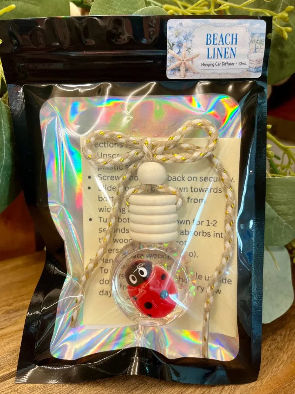 N/A ladybug hanging